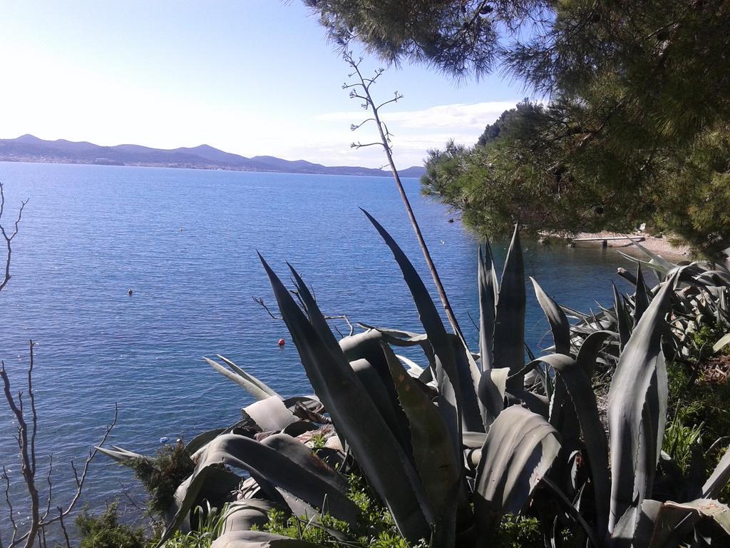 Zd * Zadar
