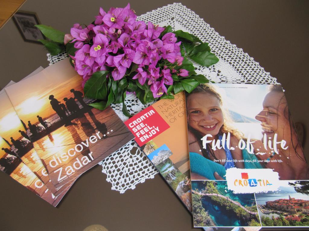 Apartament Zd